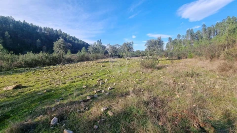 Terreno Agricola ou Rústico para Venda em São Vicente da Beira