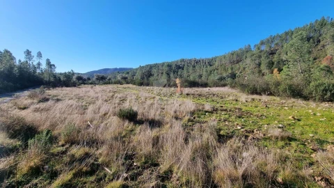 Terreno Agricola ou Rústico para Venda em São Vicente da Beira
