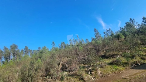 Terreno Agricola ou Rústico para Venda em São Vicente da Beira