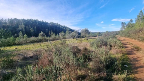 Terreno Agricola ou Rústico para Venda em São Vicente da Beira