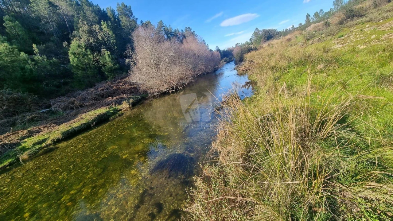 Terreno Agricola ou Rústico para Venda em São Vicente da Beira Foto 1