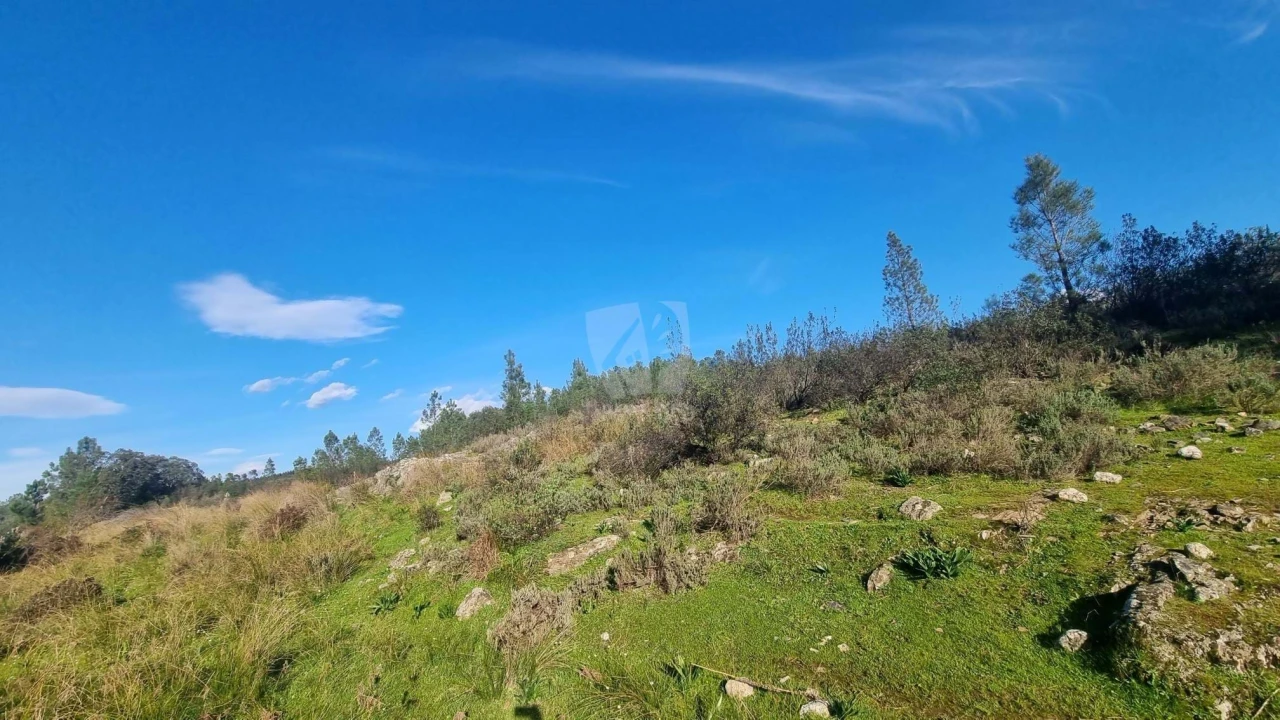 Terreno Agricola ou Rústico para Venda em São Vicente da Beira Foto 13