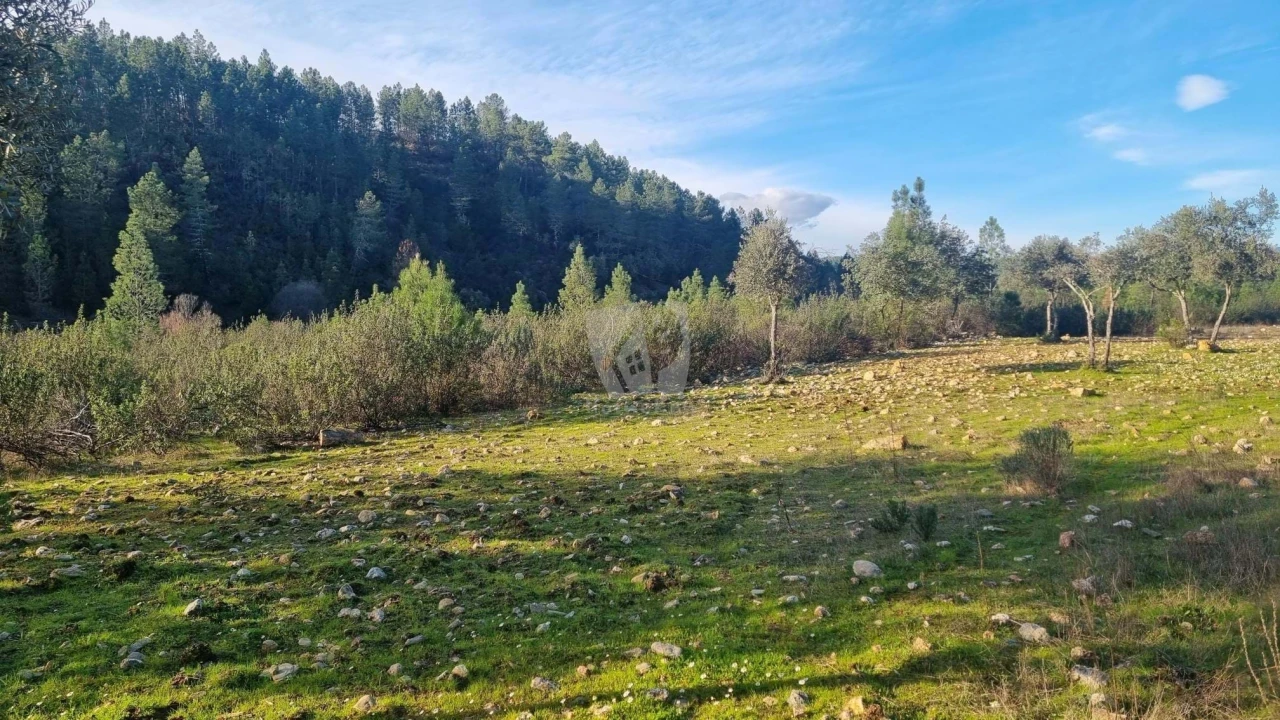 Terreno Agricola ou Rústico para Venda em São Vicente da Beira Foto 25