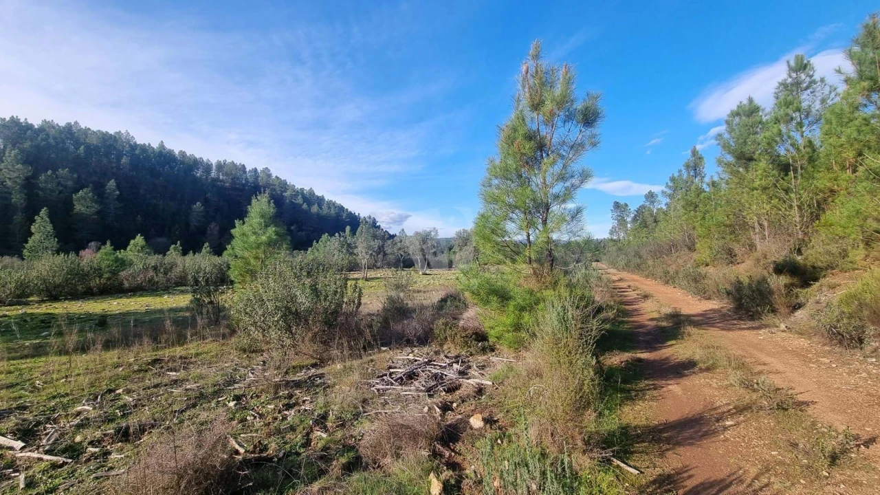 Terreno Agricola ou Rústico para Venda em São Vicente da Beira Foto 29