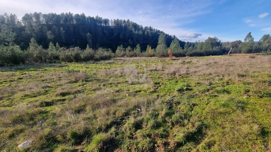 Terreno Agricola ou Rústico para Venda em São Vicente da Beira Foto 28