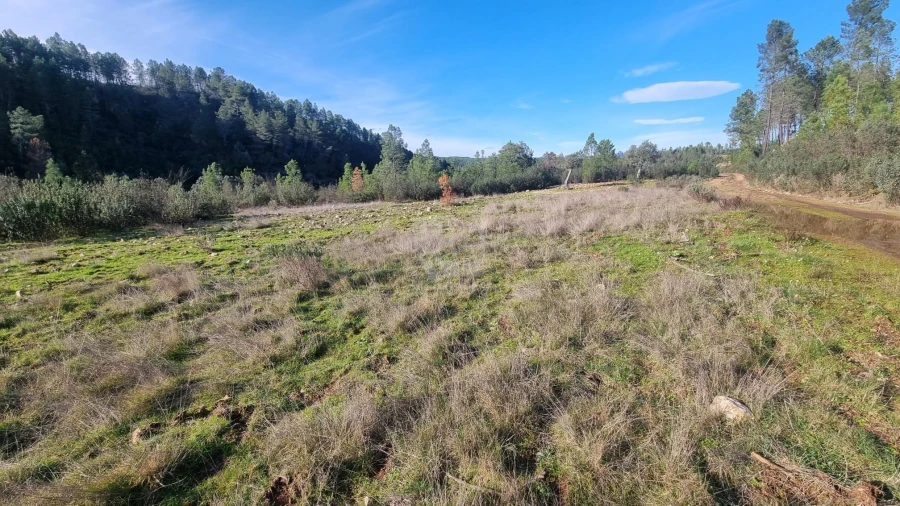 Terreno Agricola ou Rústico para Venda em São Vicente da Beira Foto 9