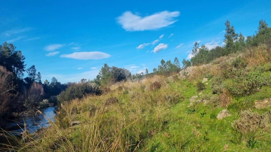 Terreno Agricola ou Rústico para Venda em São Vicente da Beira Foto 8