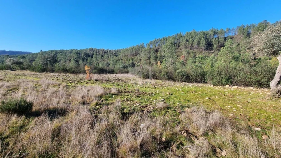 Terreno Agricola ou Rústico para Venda em São Vicente da Beira Foto 10