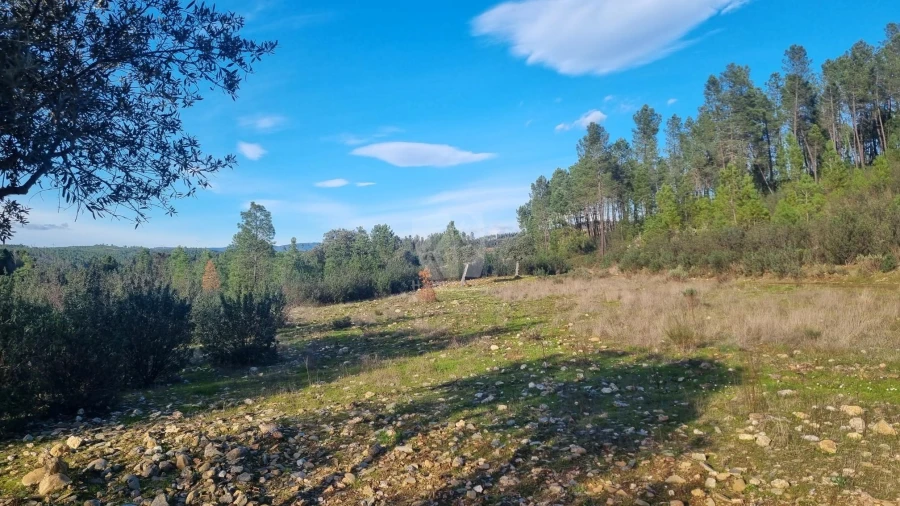 Terreno Agricola ou Rústico para Venda em São Vicente da Beira Foto 6