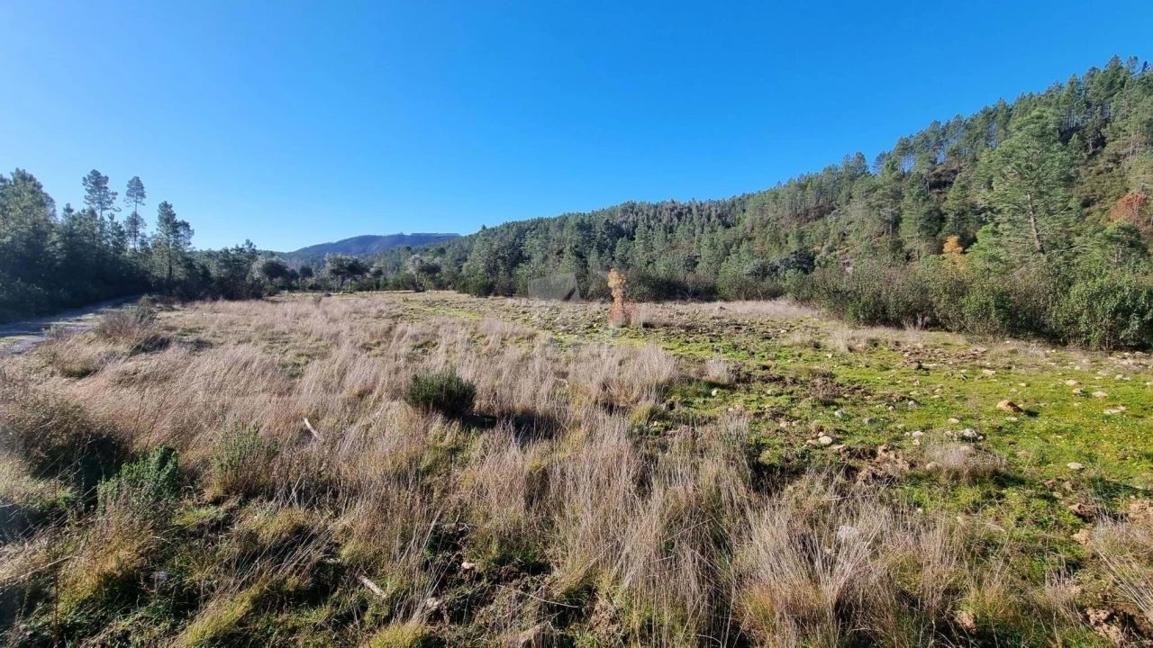 Terreno Agricola ou Rústico para Venda em São Vicente da Beira Foto 11