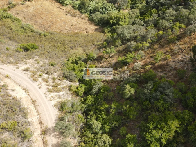 Moradia T2 para Venda em São Barnabe Foto 8