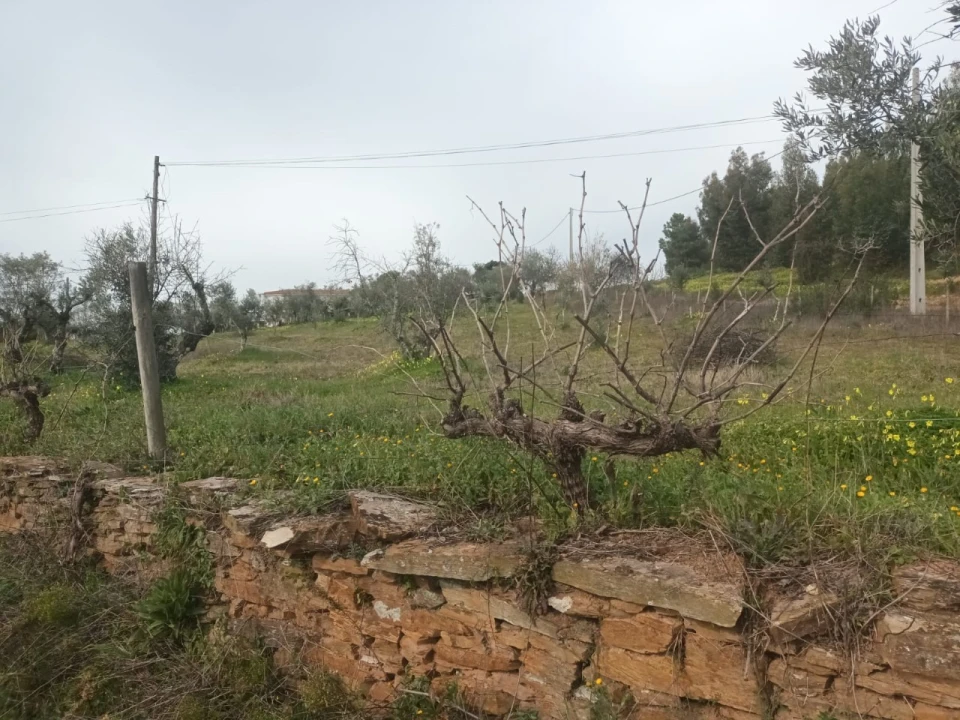 Moradia T4 para Venda em Alegrete Foto 8