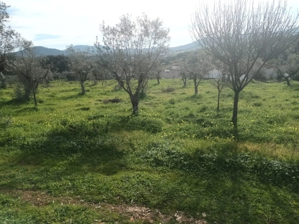 Moradia T4 para Venda em Alegrete Foto 13