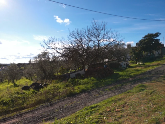 Moradia T4 para Venda em Alegrete Foto 5