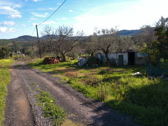 Moradia T4 para Venda em Alegrete Foto 6