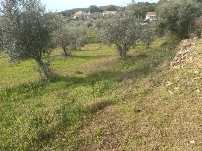 Moradia T4 para Venda em Alegrete Foto 9