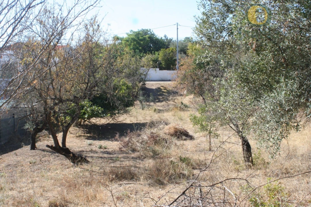 Terreno para Venda em Santa Barbara de Nexe Foto 2