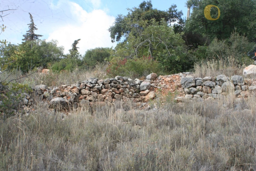 Terreno para Venda em Santa Barbara de Nexe Foto 3