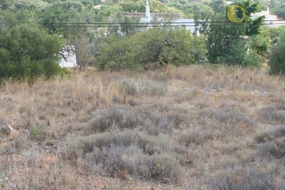 Terreno para Venda em Santa Barbara de Nexe