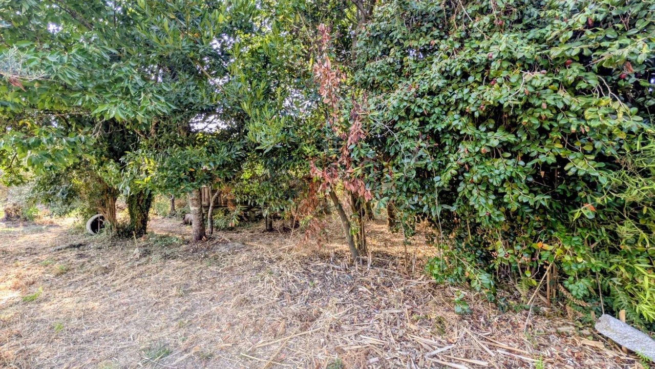 Moradia T3 para Venda em Ribeira do Neiva Foto 19