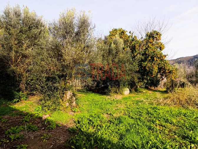 Moradia T3 para Venda em Ribeira do Neiva Foto 13