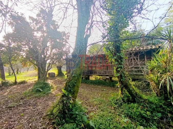 Moradia T3 para Venda em Ribeira do Neiva Foto 10