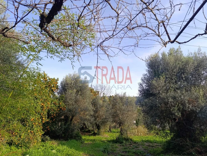 Moradia T3 para Venda em Ribeira do Neiva Foto 12