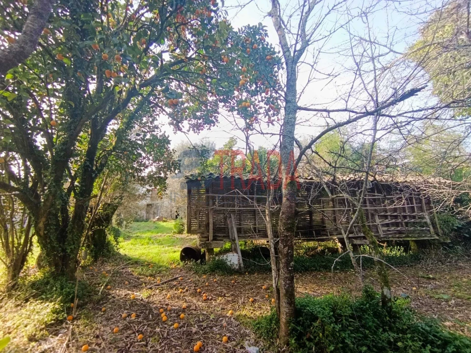 Moradia T3 para Venda em Ribeira do Neiva Foto 9