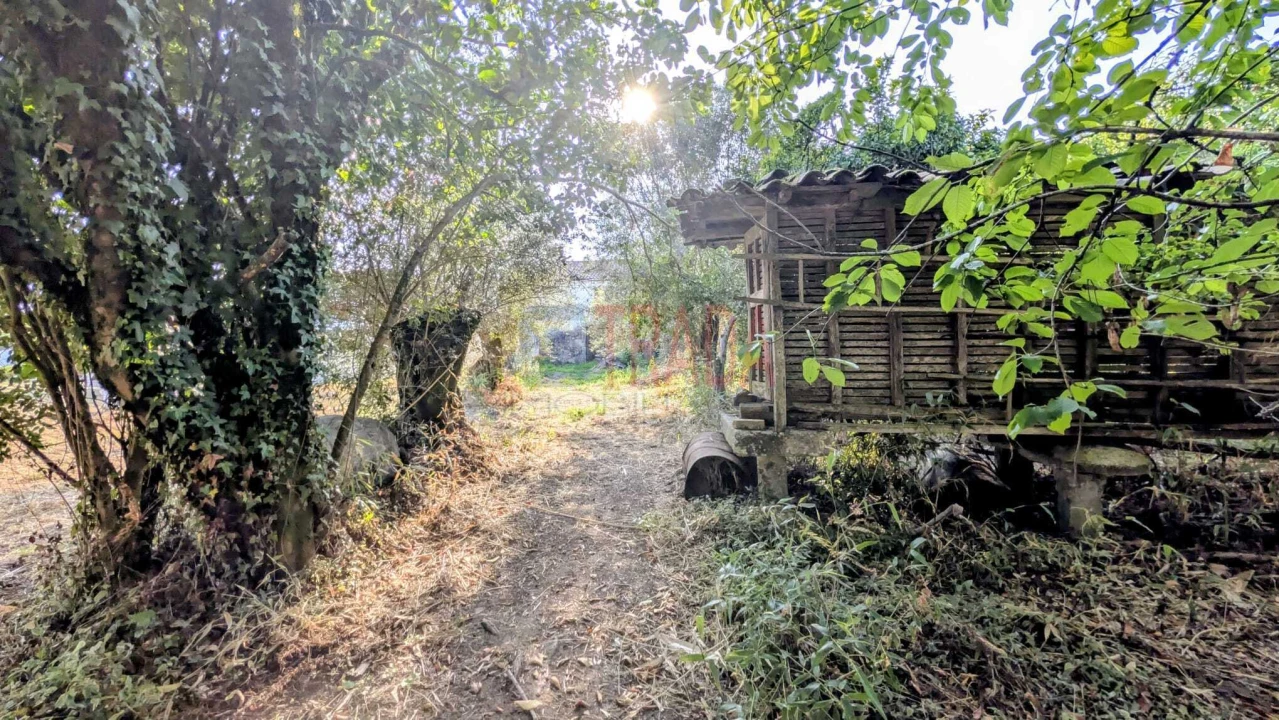 Moradia T3 para Venda em Ribeira do Neiva Foto 20