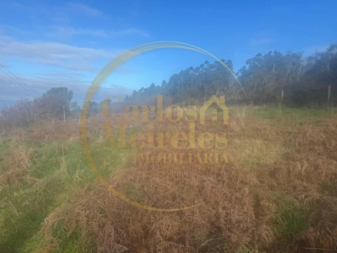 Terreno para Venda em Ribeira do Neiva Foto 2