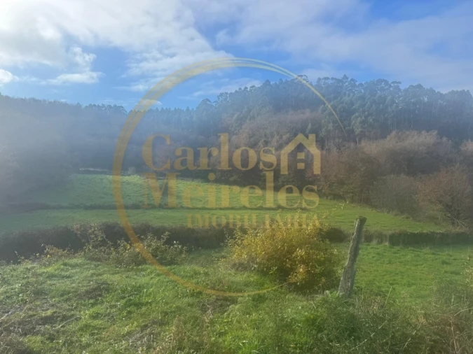 Terreno para Venda em Ribeira do Neiva Foto 4