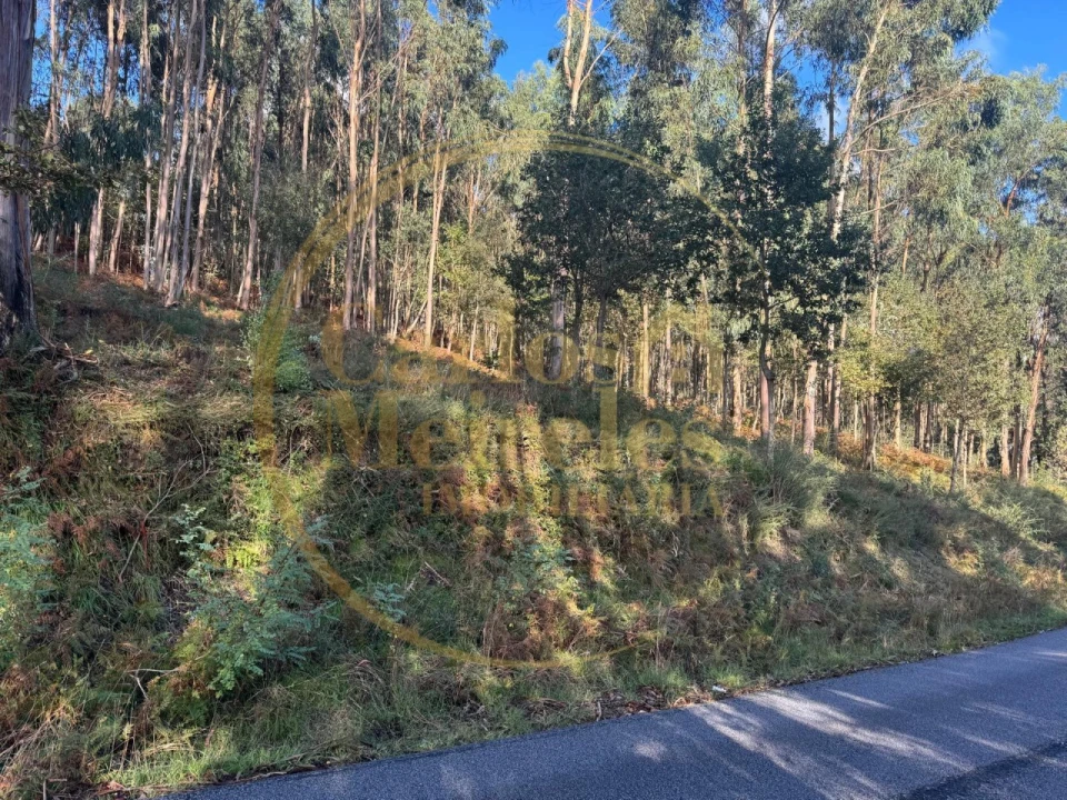 Terreno Agricola ou Rústico para Venda em Carreiras (São Miguel) e Carreiras (Santiago) Foto 1