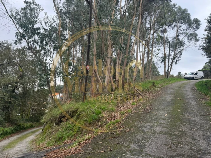 Terreno para Venda em Anais Foto 3