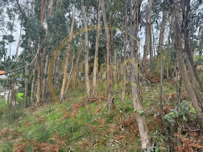 Terreno para Venda em Anais Foto 7