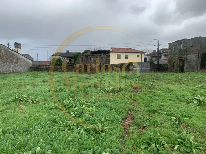 Terreno para Venda em Palmeira Foto 2