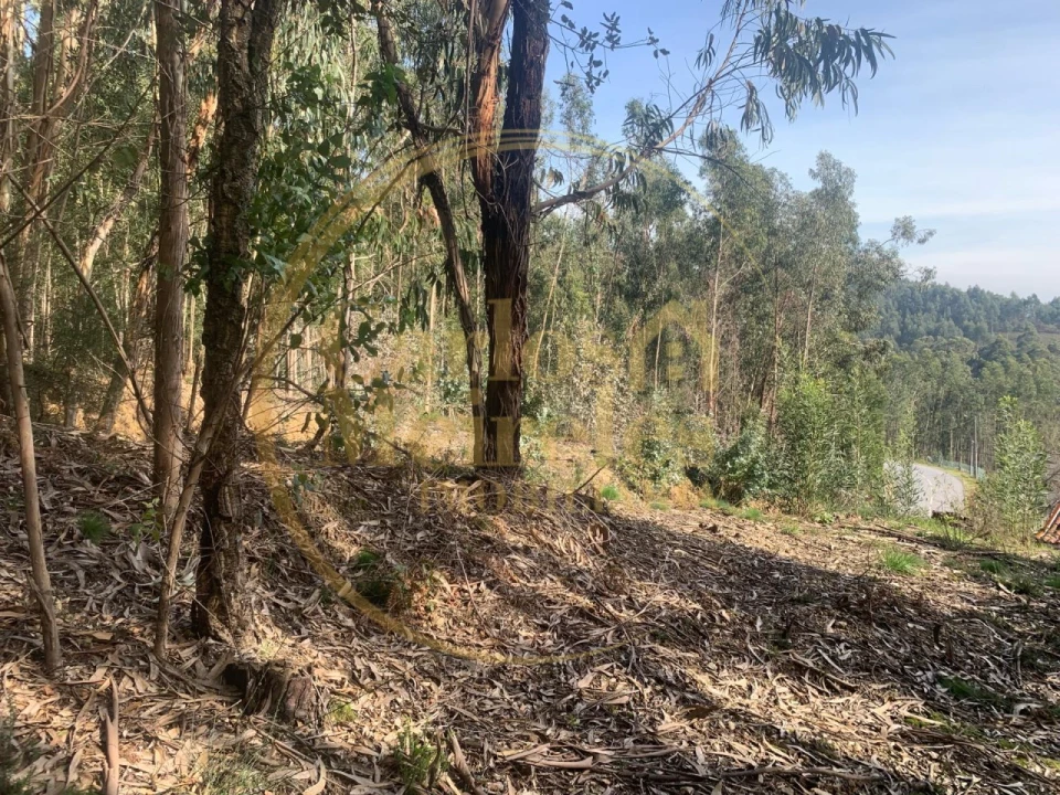 Terreno para Venda em Dossãos Foto 4
