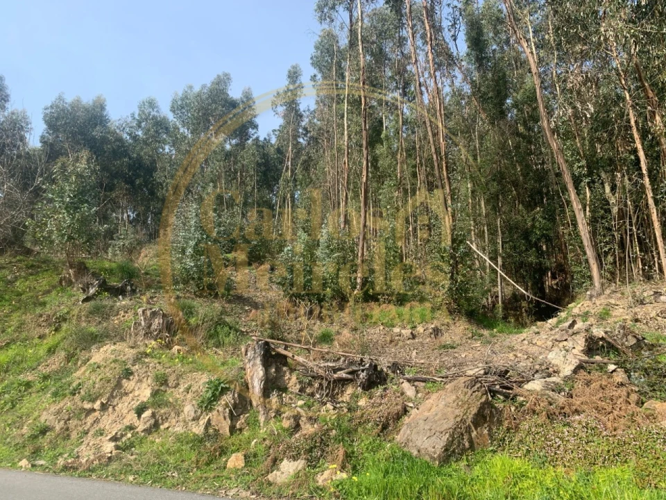 Terreno para Venda em Dossãos Foto 6