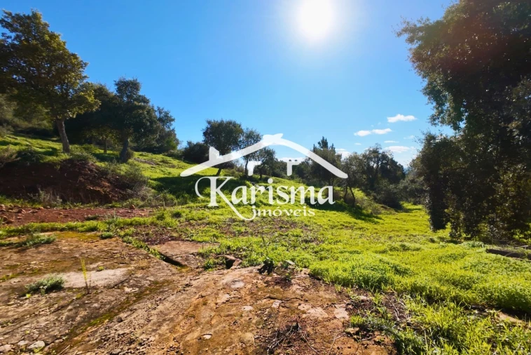 Quinta T3 para Venda em Marmelete Foto 24