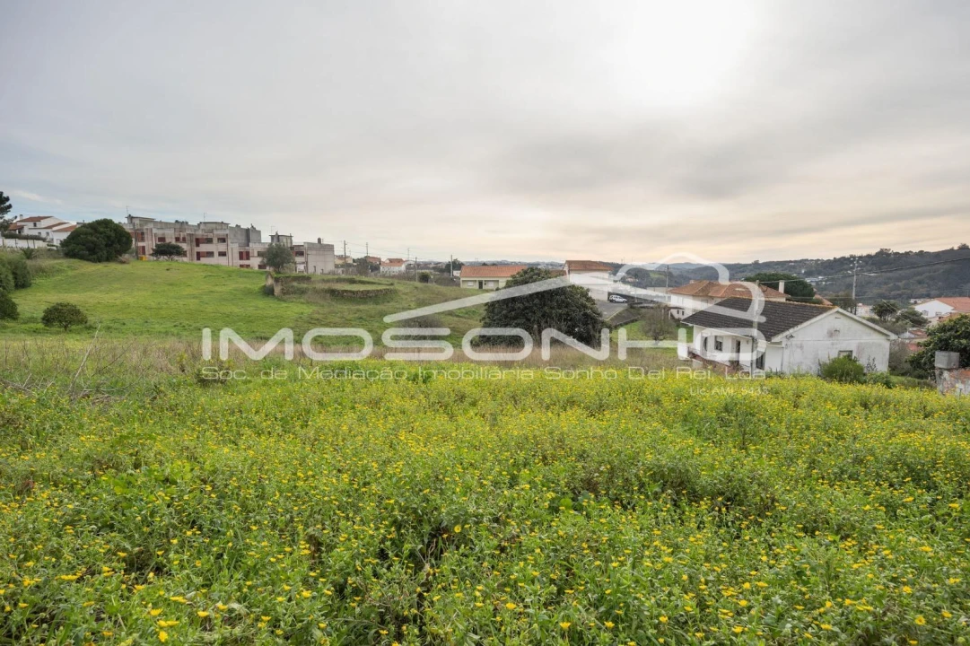 Terreno Agricola ou Rústico para Venda em Maiorga Foto 13