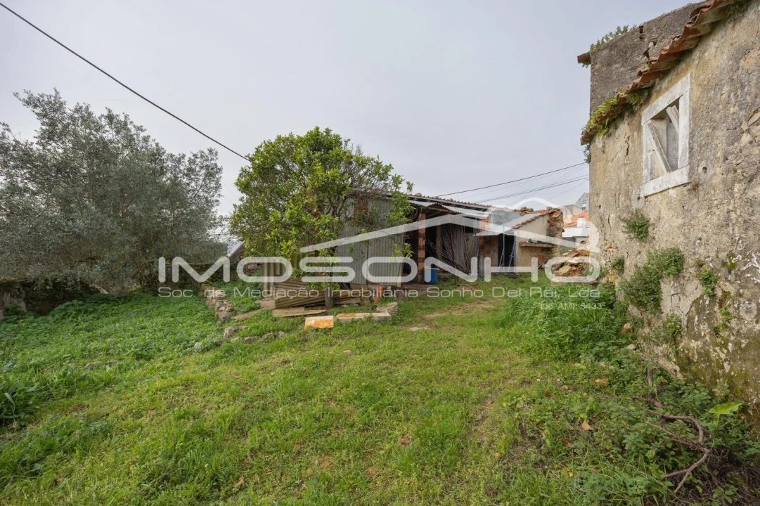 Terreno Agricola ou Rústico para Venda em Maiorga Foto 19