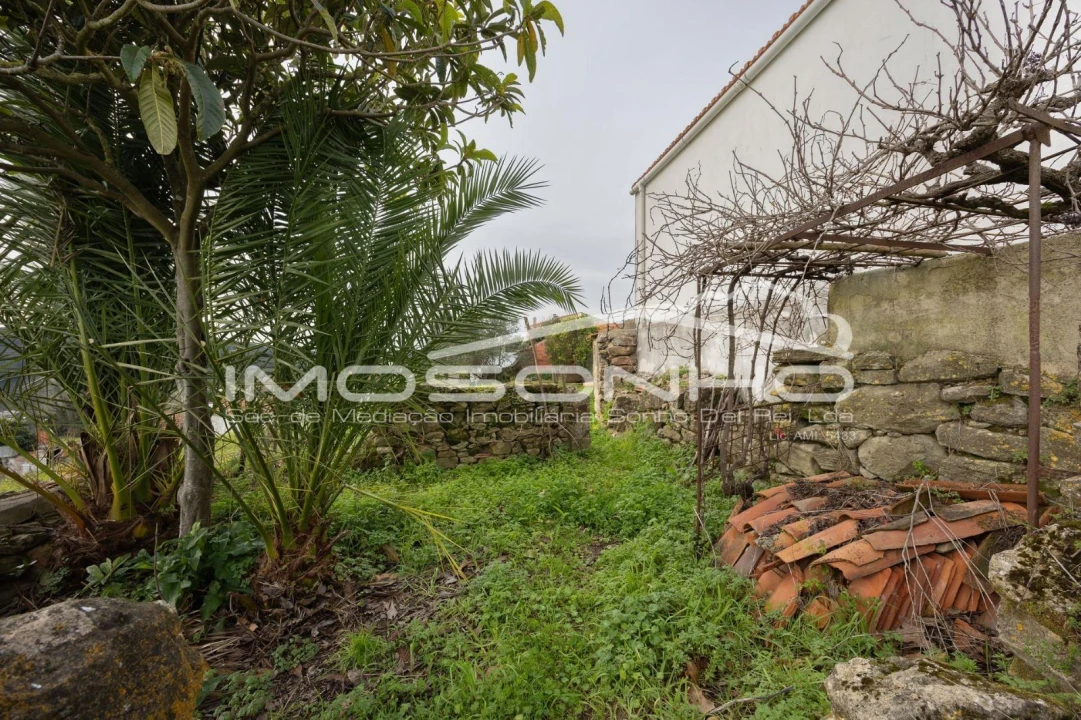 Terreno Agricola ou Rústico para Venda em Maiorga Foto 23