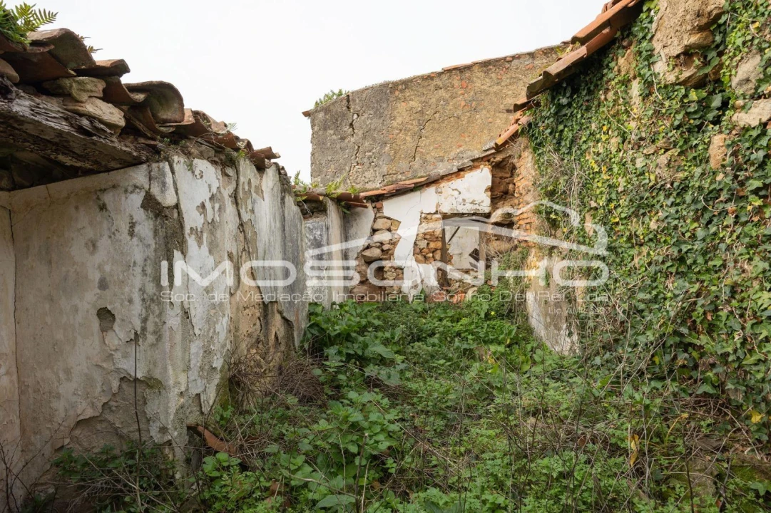Terreno Agricola ou Rústico para Venda em Maiorga Foto 24