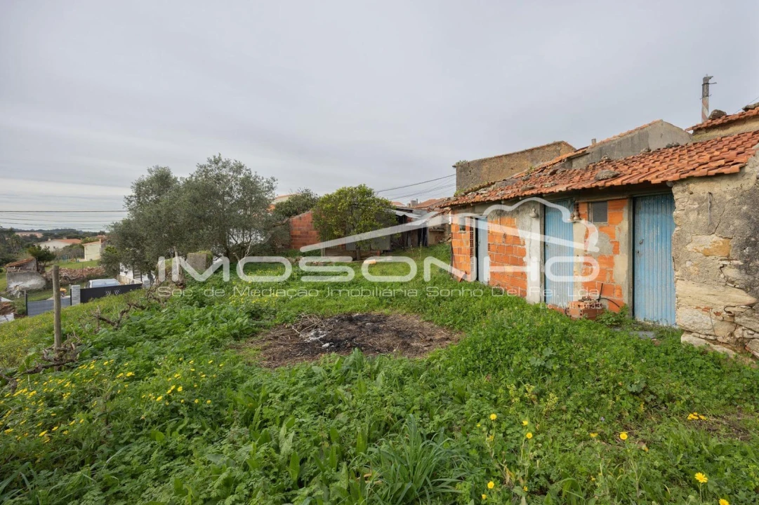 Terreno Agricola ou Rústico para Venda em Maiorga Foto 36