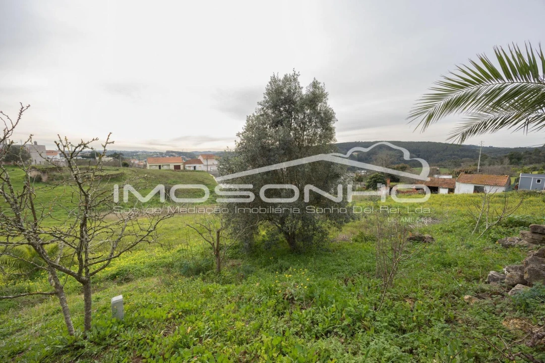 Terreno Agricola ou Rústico para Venda em Maiorga Foto 43