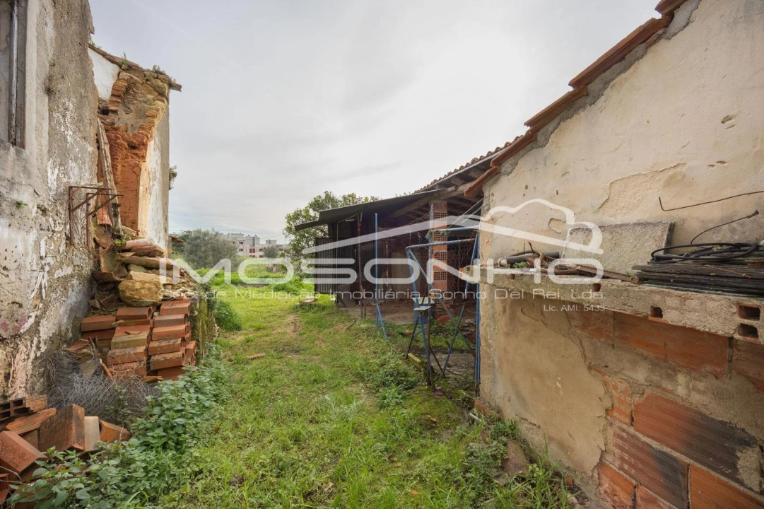 Terreno Agricola ou Rústico para Venda em Maiorga Foto 44