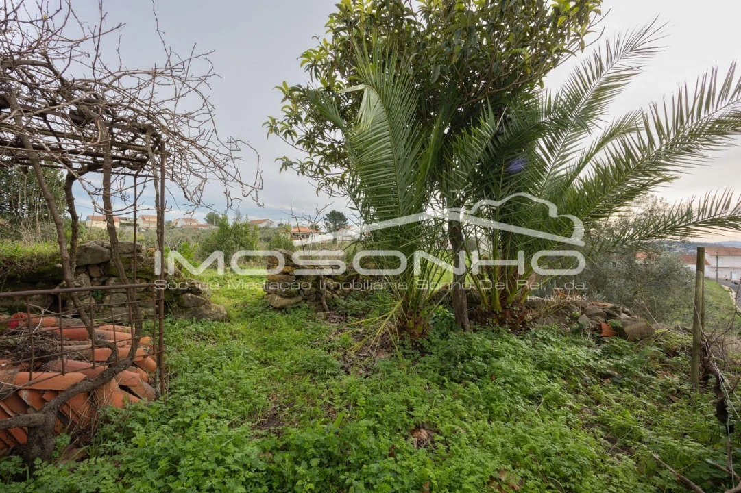 Terreno Agricola ou Rústico para Venda em Maiorga Foto 46