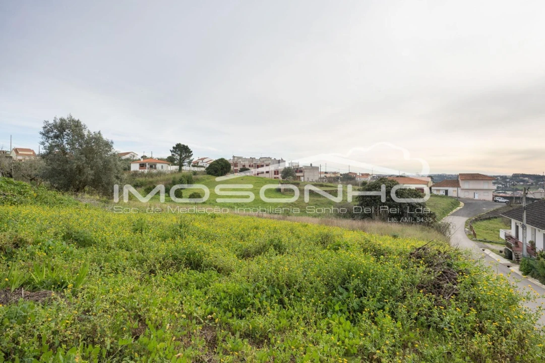Terreno Agricola ou Rústico para Venda em Maiorga Foto 9