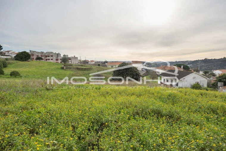 Terreno Agricola ou Rústico para Venda em Maiorga Foto 13