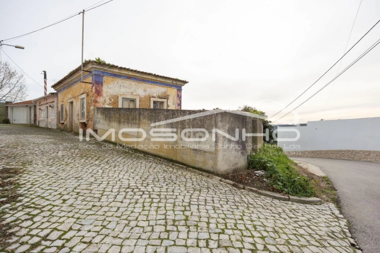 Terreno Agricola ou Rústico para Venda em Maiorga Foto 17