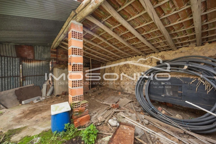 Terreno Agricola ou Rústico para Venda em Maiorga Foto 22